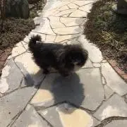 ふくちゃん