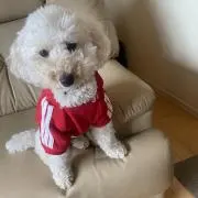 kazumisの画像