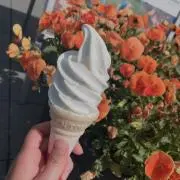 Ruuの画像
