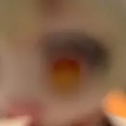 うる