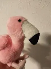 berry-pinkの画像