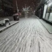 こんちくわの画像