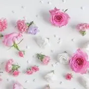 しらたま
