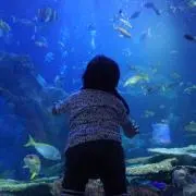 プロフ必読★れおれお