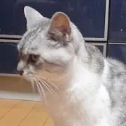 メル