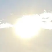チャンプの画像