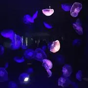 はるママ