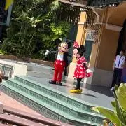 ララの画像