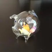 ぶぶこの画像