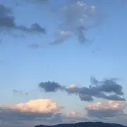 ちゃんの画像
