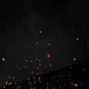 ぽこりの画像