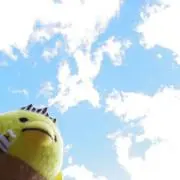 ゆもこんの画像