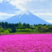 ナンの画像