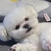 ♡の画像