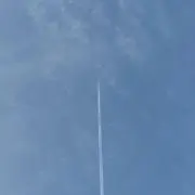 初心者の画像