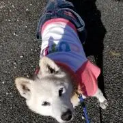 YUMI