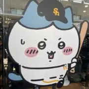 ノア蔵の画像