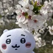 ‪‪☺︎‬‪‪☺︎‬‪‪☺︎‬の画像