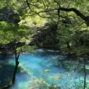 サンライクの画像