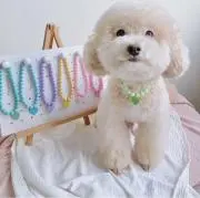 me⭐︎おまとめ割ありの画像