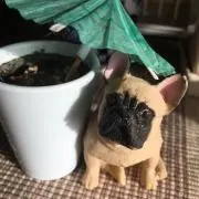 値下げコメント禁止×の画像