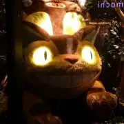 まや
