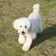 みるく大好き
