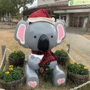 こあらんの画像