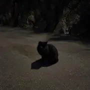 heallysmの画像