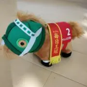 スカイの画像