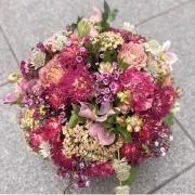 てらちこ
