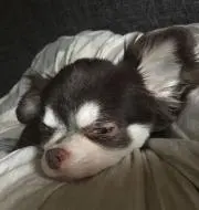 みん