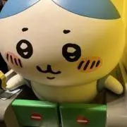 パムの画像