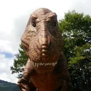 ウマソウの画像