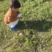 mee