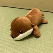ぐうたら主婦の画像
