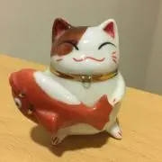 トマトッドの画像