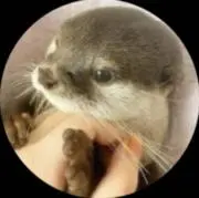 ゆーもあ