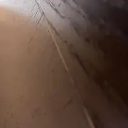 にあむーの画像