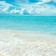 blue☆の画像