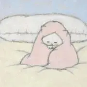 Rの画像