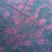 もんもん