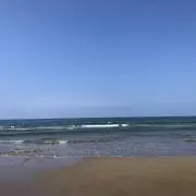 ヒロマの画像