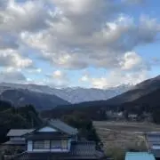 がーとんの画像