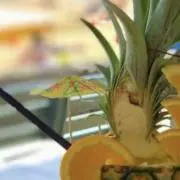 marimoの画像