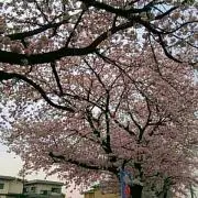鉄くずの画像