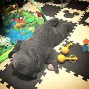 niko_25の画像