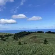 JMの画像