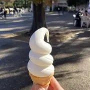 ちゃの画像