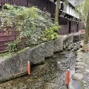 どなるど⭐︎土日発送の画像